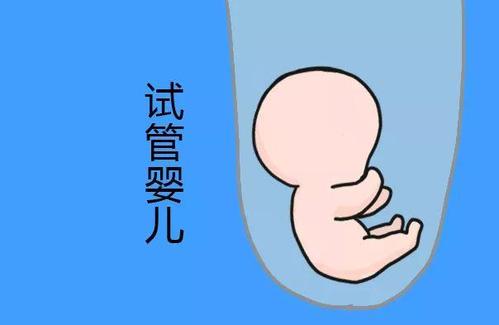 卵子凍結保存